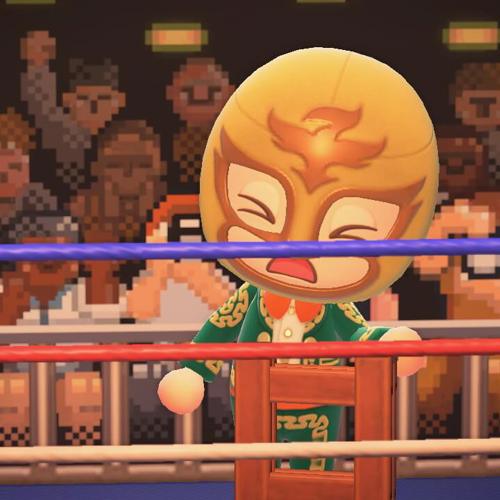 Animal Crossing Wrestling 2